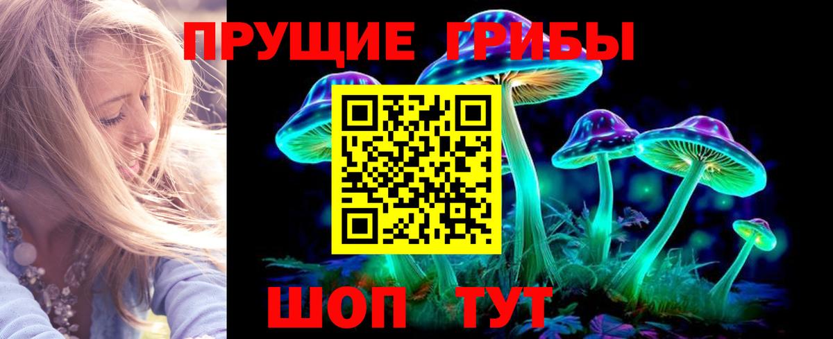где продают наркотики  Псилоцибиновые грибы Psilocybe  Вход с VPN  Белгород 