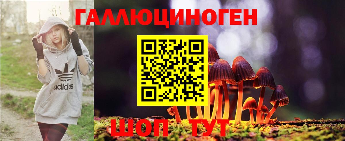 Псилоцибиновые грибы Psilocybine cubensis Белгород